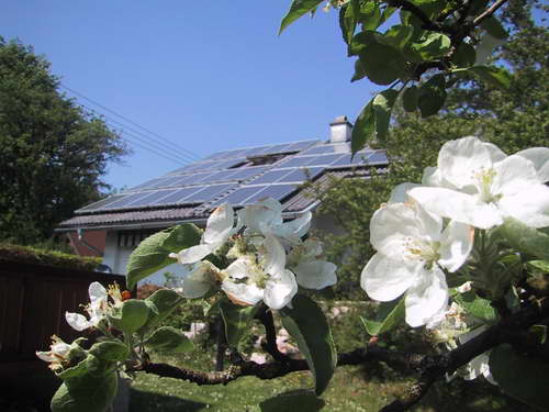 Anlage von Berndl Christine 2